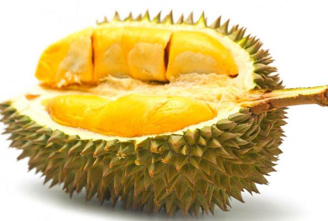 Chọn sầu riêng đừng dựa vào kích cỡ, chọn theo quả đực, cái mới chuẩn - 2