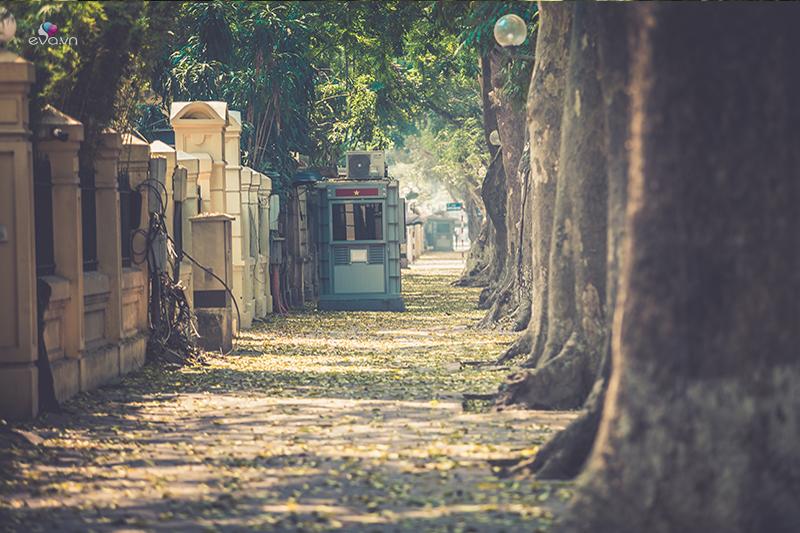 Không chỉ có con đường ngập lá, đường Phan Đình Phùng còn đẹp ở những dãy nhà hai bên đường mang kiến trúc Pháp cổ kính. 
