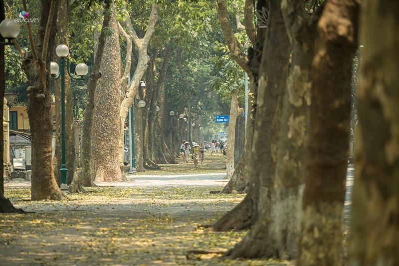 Khác hẳn với những ồn ào và bộn bề ngoài kia, đường Phan Đình Phùng mang lại một cảm giác rất nhẹ nhàng, bình yên và trầm mặc.
