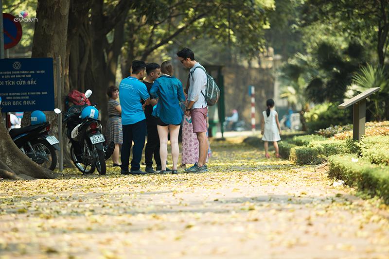 Các du khách nước ngoài khi tới thăm Hà Nội cũng không bỏ lỡ cơ hội được ngắm con đường lá rụng. Nhiều người tỏ ra thích thú trước vẻ đẹp đơn giản mà lung linh, hiện đại nhưng không kém phần hoài cổ.
