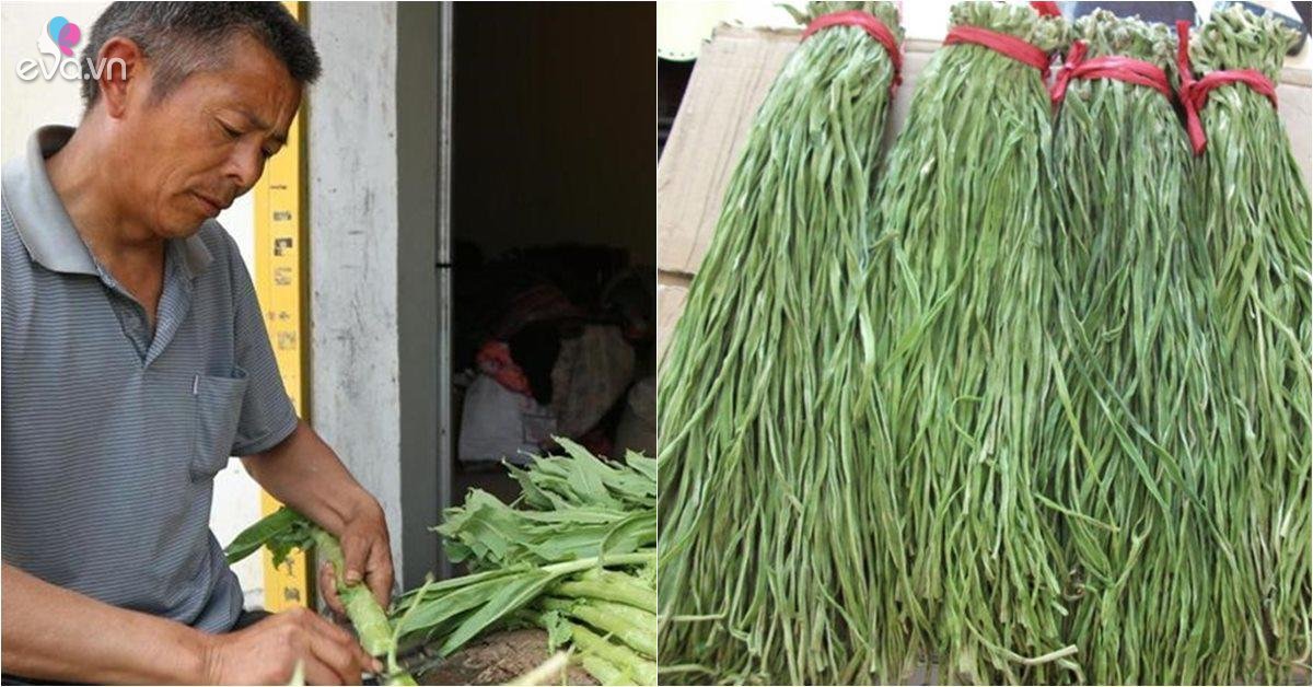 rau tiến vua là cây gì