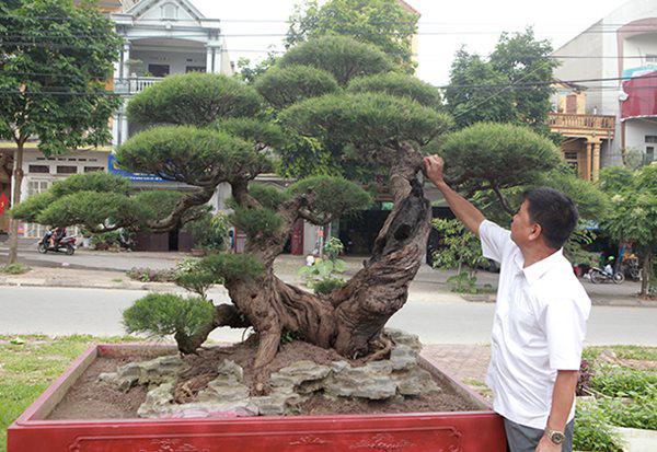 chiem nguong &#34;lao&#34; phi lao hinh chu nhan gia bac ty - 8