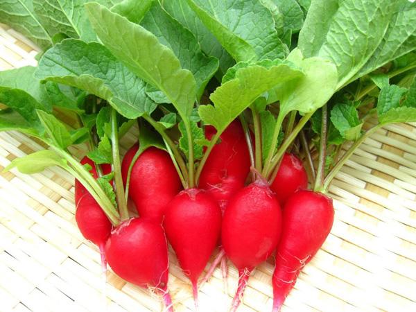 thieu mau la gi? nhung thuc pham tot cho nguoi thieu mau - 7