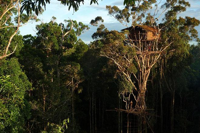 Khám phá sự thật kinh hoàng về những bộ tộc ăn thịt người trên thế giới - 5