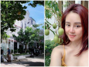 Nhà đẹp - Hết “khoe” nhà triệu đô Vy Oanh hé lộ vườn cây sai lúc lỉu khiến fan trầm trồ