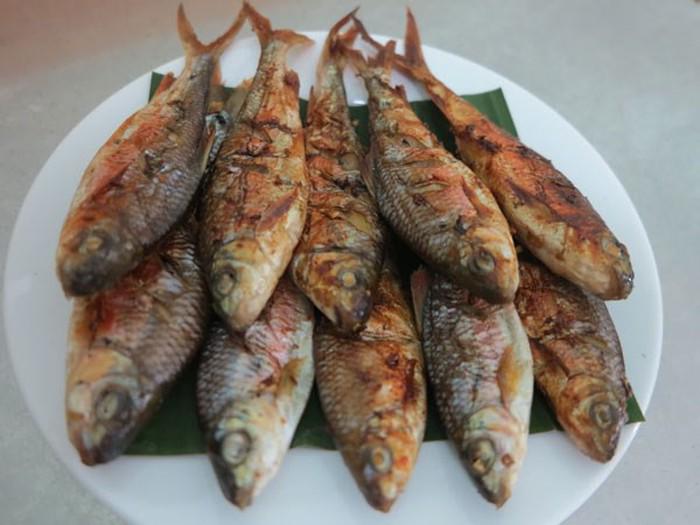 de nhat dac san xu nghe va su that dang kinh ngac ve no - 7
