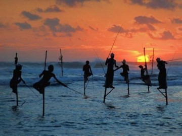 Khám phá truyền thống câu cá trên cọc kheo độc đáo ở Sri Lanka