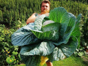 Xem ăn chơi - Những loại rau củ khổng lồ tưởng như chỉ có trong phim ảnh nhưng có thật ngoài đời