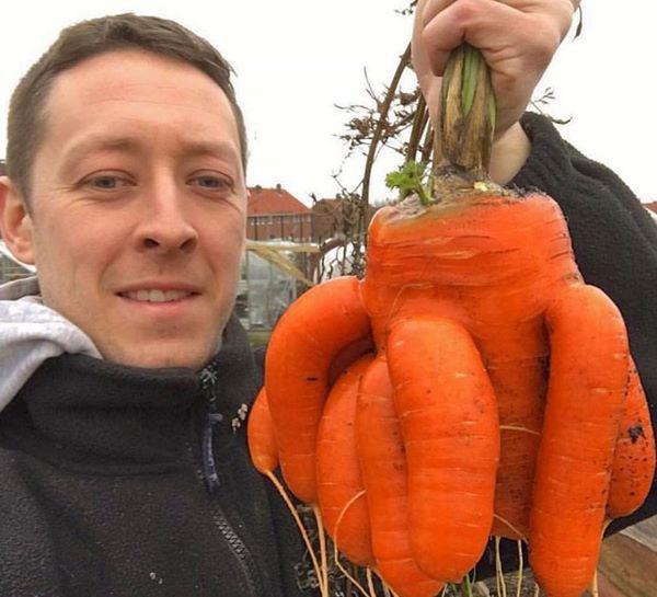 Những loại rau củ khổng lồ tưởng như chỉ có trong phim ảnh nhưng có thật ngoài đời - 13