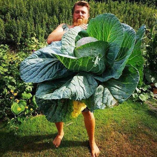 Những loại rau củ khổng lồ tưởng như chỉ có trong phim ảnh nhưng có thật ngoài đời - 15