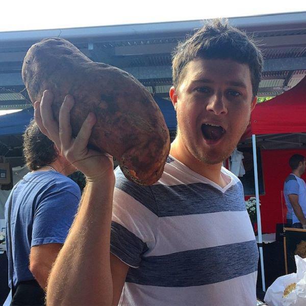 Những loại rau củ khổng lồ tưởng như chỉ có trong phim ảnh nhưng có thật ngoài đời - 5