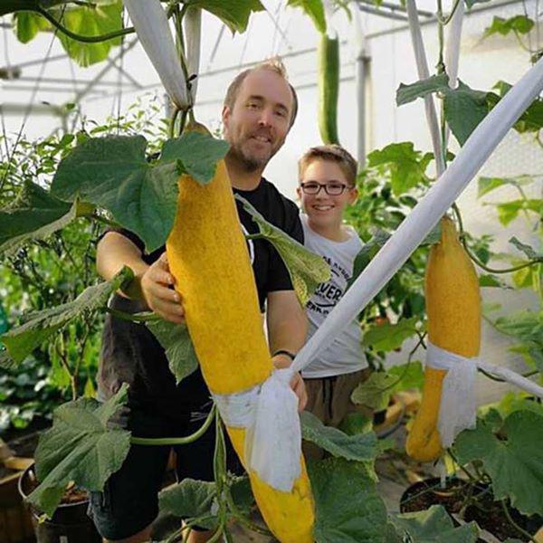 Những loại rau củ khổng lồ tưởng như chỉ có trong phim ảnh nhưng có thật ngoài đời - 7