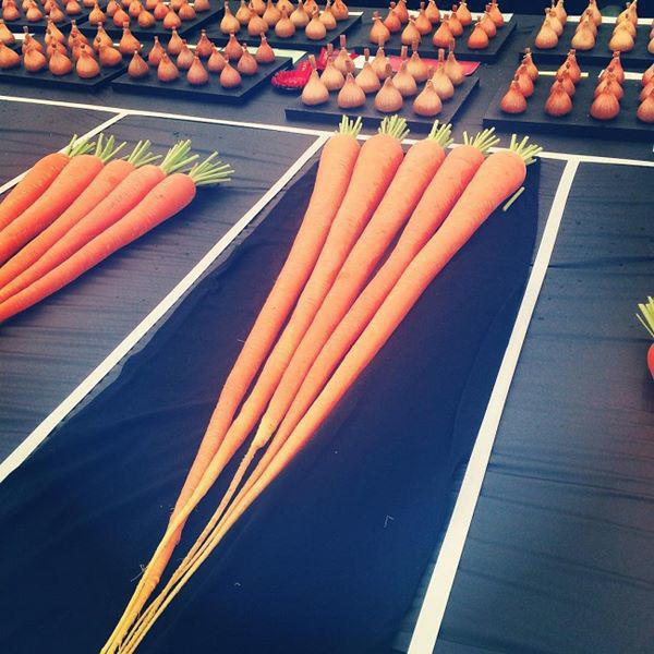 Những loại rau củ khổng lồ tưởng như chỉ có trong phim ảnh nhưng có thật ngoài đời - 8