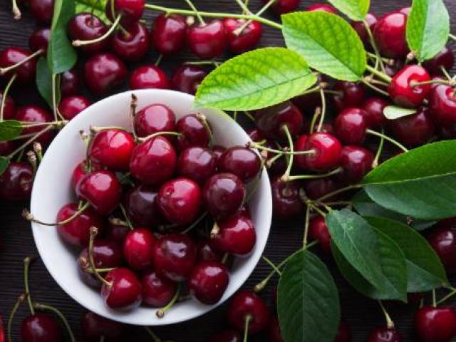 Quy trình sản xuất cherry lớn và hiện đại nhất New ZeaLand