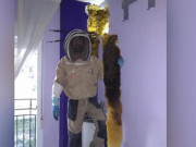 Tin tức - Hàng đêm nghe âm thanh lạ từ bức tường trong phòng ngủ, cặp đôi khiếp vía khi biết sự thật