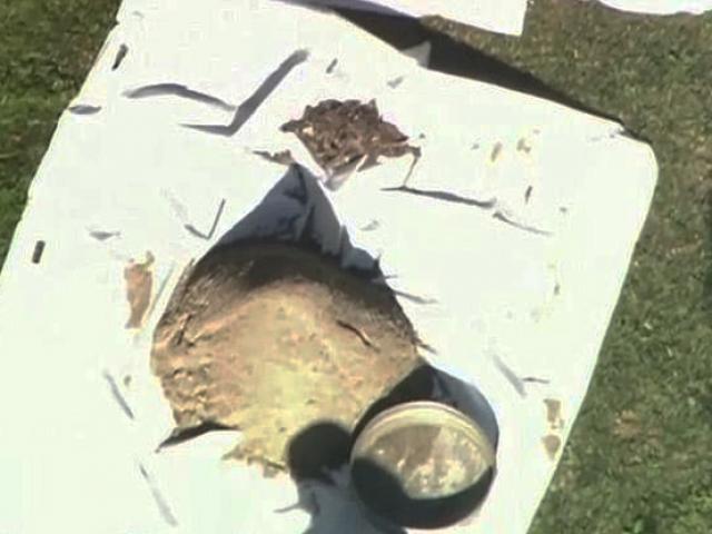 Chồng muốn làm bể bơi ở vườn, thợ xây vô tình phát hiện sự thật kinh hoàng khi đào đất