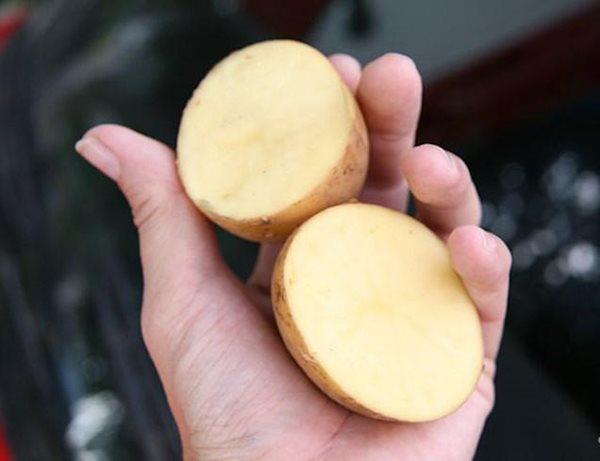 khoi phuc chong dinh nhay gap 5, bien chao cu ri set thanh nhu moi voi loai cu re beo - 3