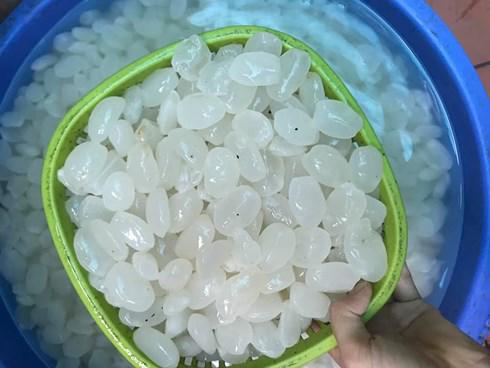 gay sot mua he, hat dac co tac dung gi khien nhieu nguoi san lung nhu thao duoc? - 1