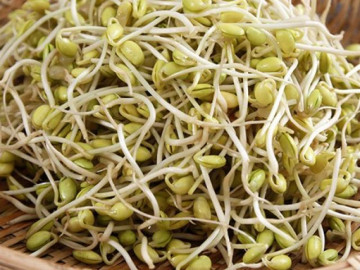 Cách làm giá đỗ tại nhà vừa to mập lại sạch ăn mãi không hết