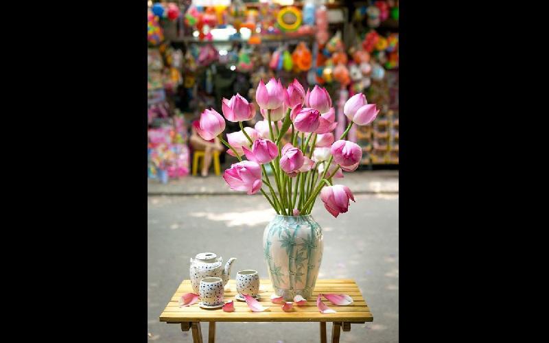 Hoa sen - quốc hoa của dân tộc là loài hoa duy nhất hội tụ đầy đủ trong mình ý nghĩa triết học, nhân sinh cao quý, ý nghĩa về âm dương ngũ hành và sức vươn dậy của một ý chí sống mãnh liệt như dân tộc Việt. 
