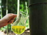 Lifestyle - Rượu làm từ ống tre siêu độc đáo của người Trung Quốc