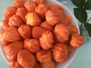 Tiêu dùng - Mít có màu lạ đắt gấp 10 lần mít thường vẫn khiến chị em mê mẩn