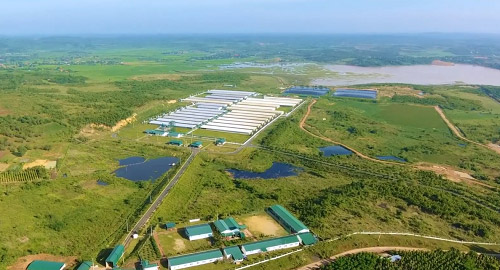 Quy trình kiểm soát 100% trong chăn nuôi giảm thiểu rủi ro dịch bệnh - 2