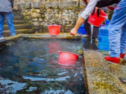 Sức khỏe - Bí mật suối nước 800 năm hút triệu người tới, giúp cả làng tránh ung thư, sống 100 tuổi