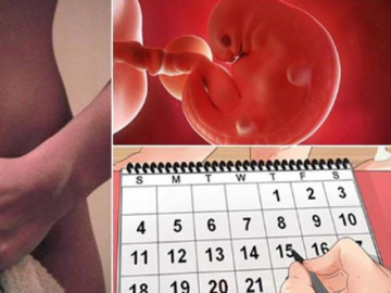 Có hay không dấu hiệu nhận biết có thai sau 7 ngày, hãy lắng nghe phân tích của chuyên gia