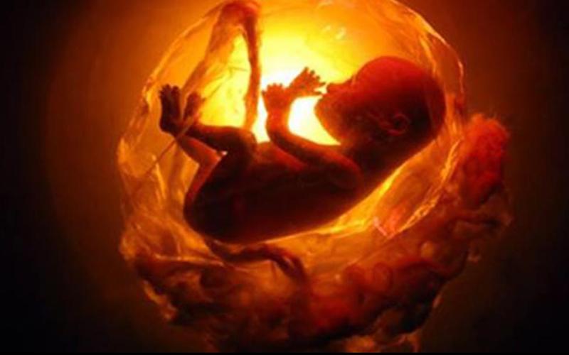 Thai nhi nấc trong tử cung có thể coi là một trong những dấu hiệu em bé đang phát triển bình thường. Nay từ trong bụng mẹ bé đã có thể nấc, thậm chí nấc cụt rất sớm, từ tuần thứ 9 thai kỳ.
