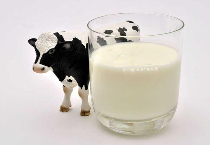 Sữa bò, sữa đậu nành,... tuy giàu dinh dưỡng nhưng lại chứa loại protein mà trẻ không thể tiêu hóa được và khoáng chất trong những loại sữa này có thể làm hại đến thận của trẻ - vốn đang còn non yếu và chưa phát triển hoàn thiện.
