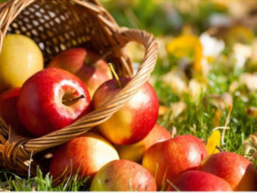 Toàn bộ quy trình đóng gói táo nghiêm ngặt ở nước ngoài