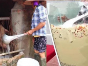 Tin tức - Xôn xao chiếc muôi "bà Tân Vlog" khuấy trà sữa, nấu lẩu là muôi dùng để xúc cám lợn