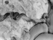 Bà bầu - Bác sĩ "thót tim” nhìn em bé chào đời với dây rốn thắt nút đôi hiếm gặp