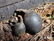 Sức khỏe - Loại củ đen xì, xấu xí nhưng có tác dụng như "thần dược" giá hàng trăm triệu đồng