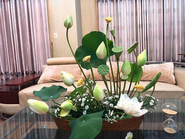 tha 2 vien aspirin vao binh hoa sen, choi ca tuan khong hong, cac me suong ron - 1