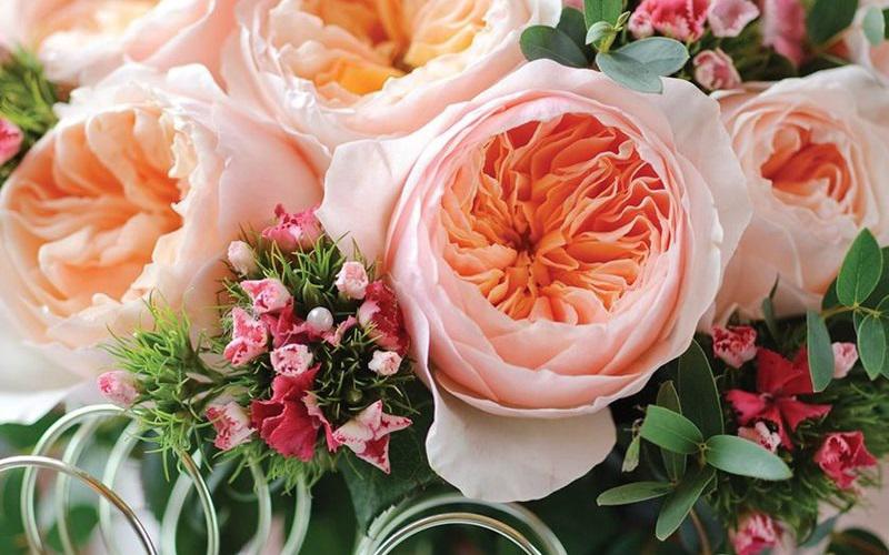 Dẫn đầu danh sách những loài hoa đắt đỏ nhất hành tinh là hồng Juliet - một loại hoa hồng cổ vô cùng quý hiếm ở nước Anh. Có những bó hoa hồng Juliet trị giá lên tới hơn 15 triệu USD (khoảng 330 tỷ đồng).
