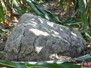 Xem ăn chơi - Cận cảnh ngọn núi “bước một chân là lên tới đỉnh” gây tranh cãi