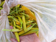 Tiêu dùng - Kỳ lạ loại hoa bán theo kg, giá lên đến nửa triệu đồng vẫn “cháy” hàng