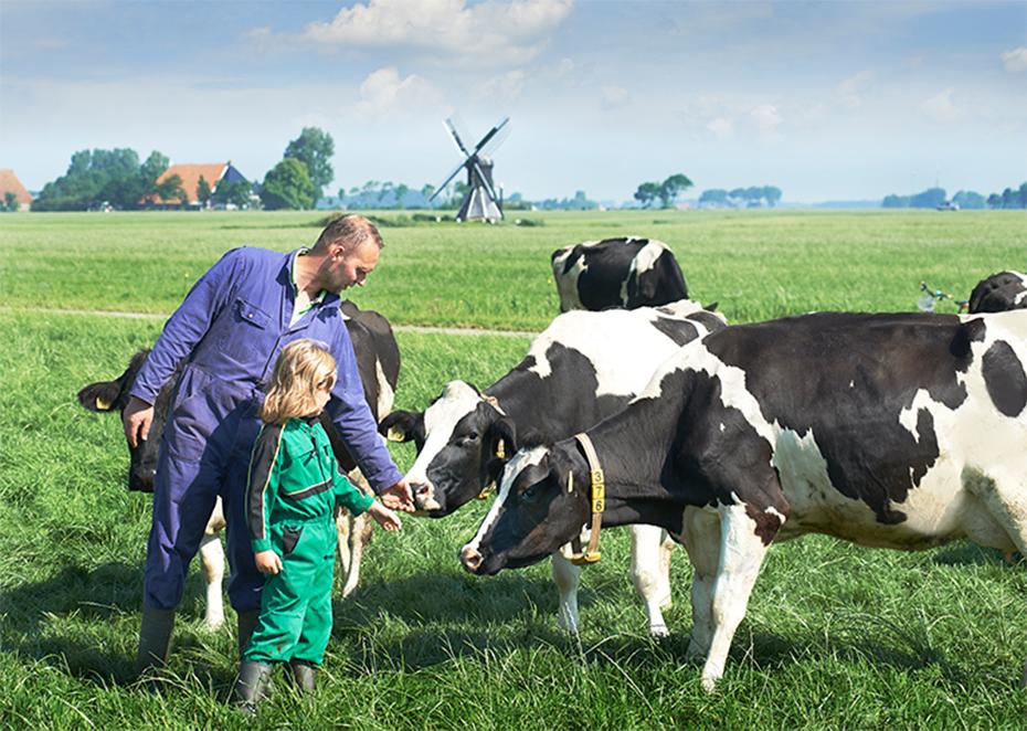 Hành trình 145 năm khẳng định chất lượng sữa tươi chuẩn của Cô Gái Hà Lan - 3
