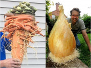 Xem ăn chơi - Trầm trồ trước những loại rau quả "siêu to, khổng lồ" nhất quả đất