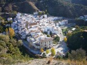 Clip Eva - Thành phố an toàn nhất thế giới trước dịch COVID-19