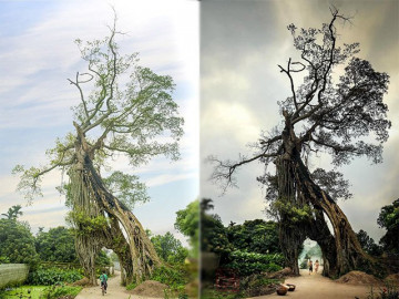 Chàng trai khoe cổng làng có 1-0-2, dân mạng bất ngờ khi biết tuổi đời của nó
