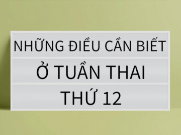 Mang thai 12 tuần: Em bé đã biết phản xạ, cử động tay chân