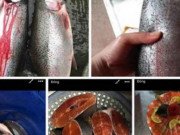 Tiêu dùng - Bản tin tiêu dùng: Cá hồi Sa Pa giá rẻ chưa từng thấy, chỉ 200 nghìn/kg nhưng vẫn... ế