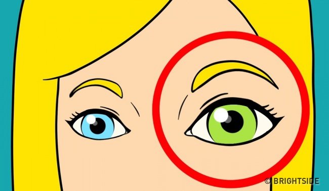 11 dấu hiệu chứng tỏ bạn thông minh hơn mình vẫn tưởng - 5