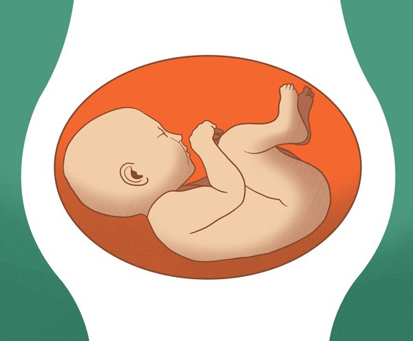 4 vị trí nằm của thai nhi trong bụng mẹ, tư thế đầu tiên là tốt nhất - 5