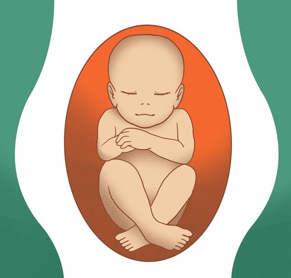 4 vị trí nằm của thai nhi trong bụng mẹ, tư thế đầu tiên là tốt nhất - 6