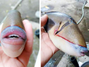 Xem ăn chơi - Xem xong 14 bức ảnh này bạn sẽ có thêm cái nhìn mới về cuộc sống