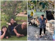 Nhà đẹp - Sao Việt khoe vườn: NSND Hồng Vân nuôi gà, Quốc Thuận có nhà xum xuê cây